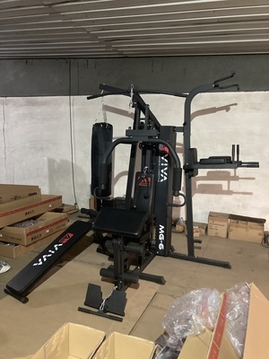 Kraftstation AsVIVA MG6 Pro 50in1 90kg Box- Kampfsport Multi-Gym