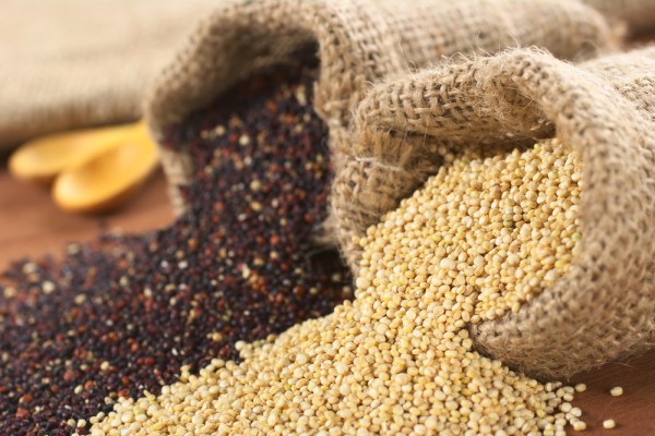 Quinoa als Gericht