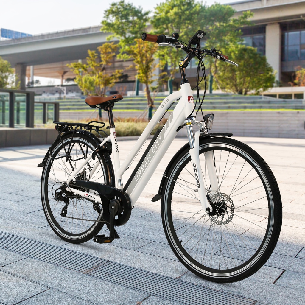 asviva-e-bike-citybike-28-zoll-b15-d-trekkingrad-elektrofahrrad-pedelec-fahrrad-bild-weiss.jpg