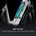 AsVIVA City E-Bike Stadtfalter B14 – Grau/Weiß – Ansicht 4