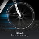 AsVIVA City E-Bike Stadtfalter B14 – Grau/Weiß – Ansicht 6