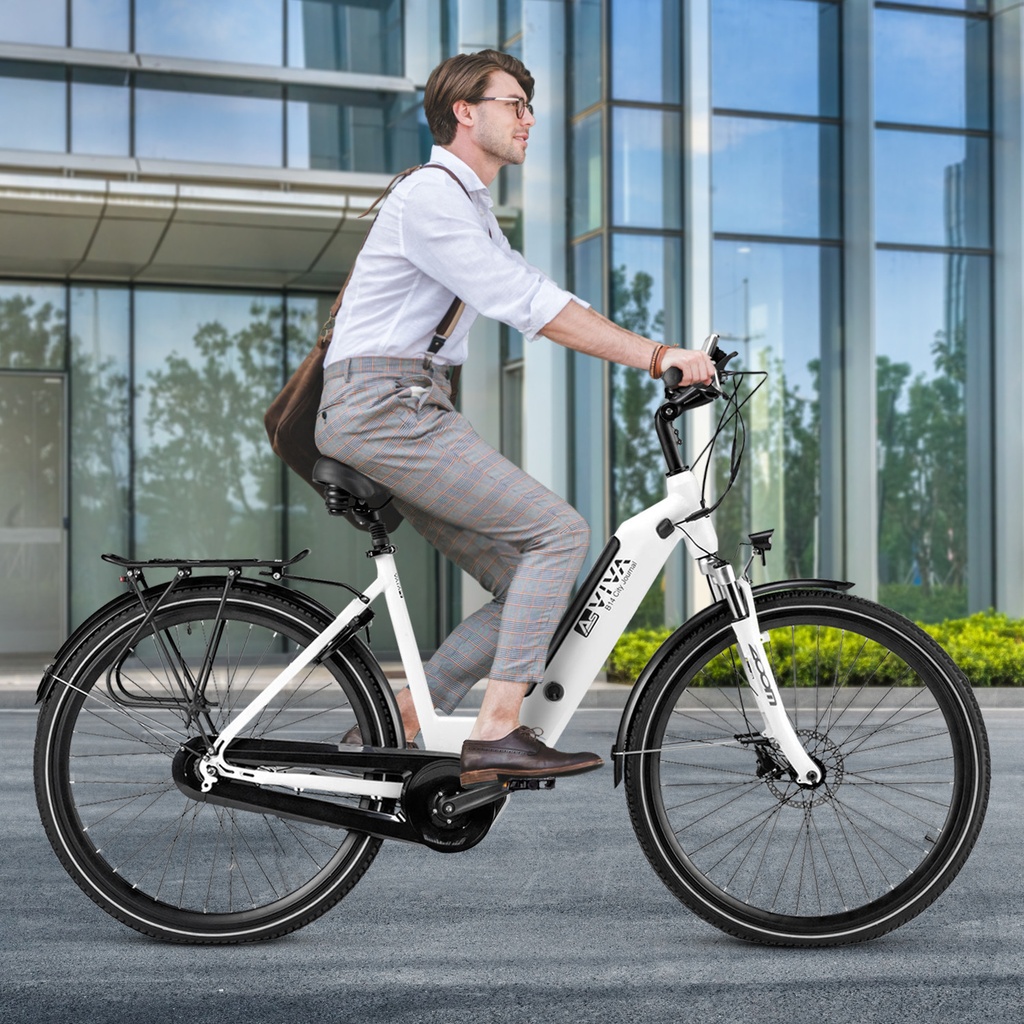 AsVIVA City E-Bike Stadtfalter B14 – Grau/Weiß – Ansicht 10