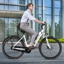 AsVIVA City E-Bike Stadtfalter B14 – Grau/Weiß – Ansicht 10