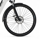 AsVIVA City E-Bike Stadtfalter B14 – Grau/Weiß – Bereifung