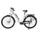 AsVIVA City E-Bike Stadtfalter B14 – Grau/Weiß – Ansicht 25