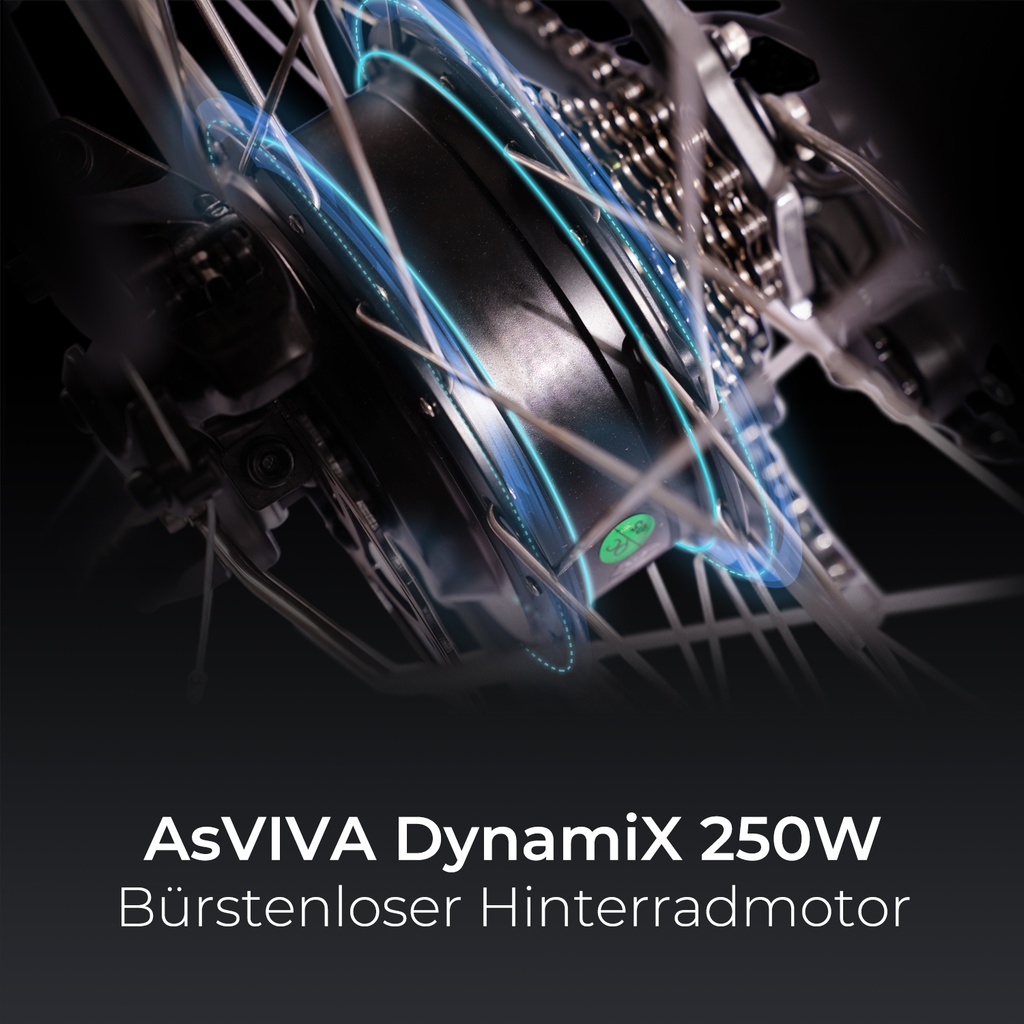 Kraftvoller 250-W-DynamiX-M-Hinterradmotor