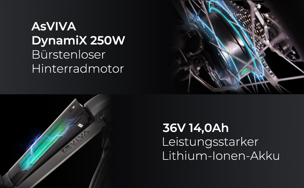 AsVIVA B13 ABW – DynamiX-Motor & Lithium-Ionen-Akku