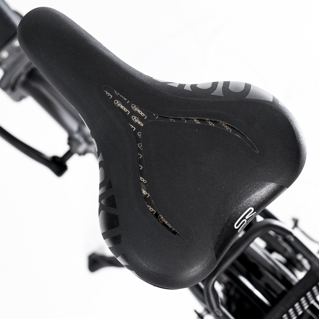 e-bike-klapprad-b13-sf-t-grau-13