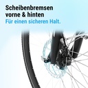 City E-Bike B15 (Grau, schwarzer Sattel, breites Display) – Scheibenbremsen vorn und hinten