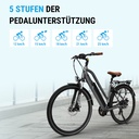 City E-Bike B15 (Grau, brauner Sattel, breites Display) – 5 Unterstützungsstufen