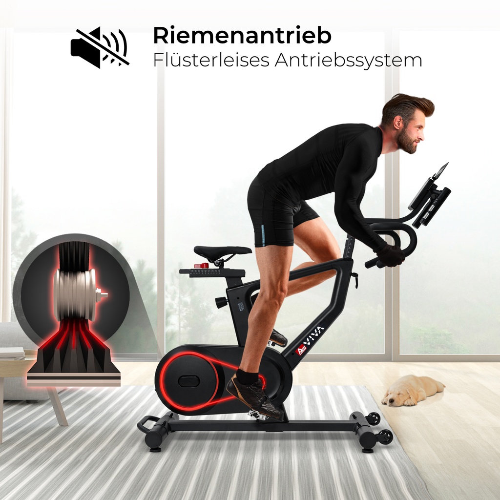 speedbike-s18-pro-asviva-leiser-riemenantrieb.jpg