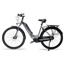 City E-Bike B14